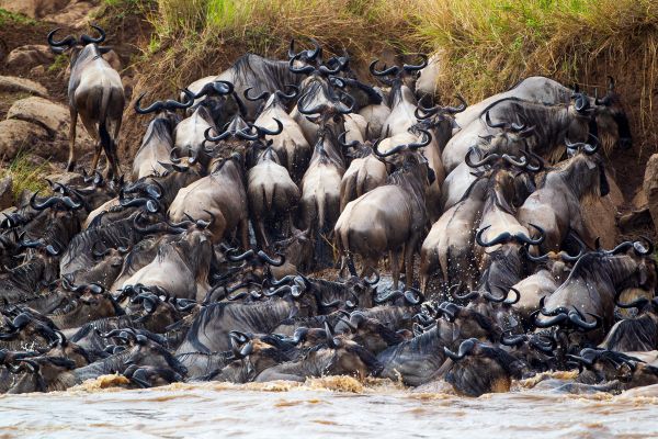 1009201dmiv9201 091354