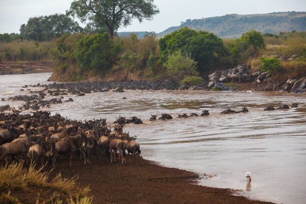 1009205dmii9205 091505   kopie