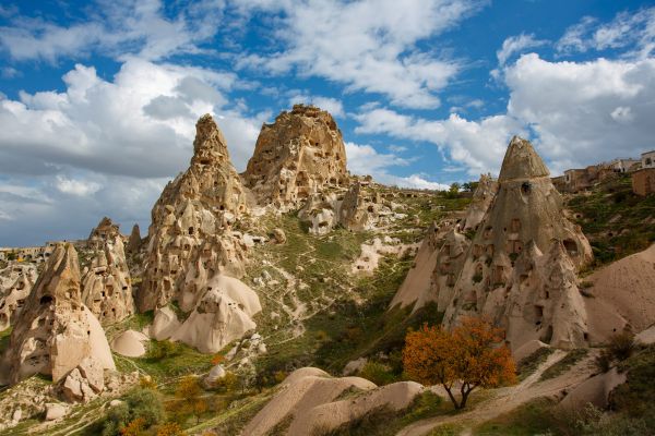 141026canon eos 5d mark iii dm38575